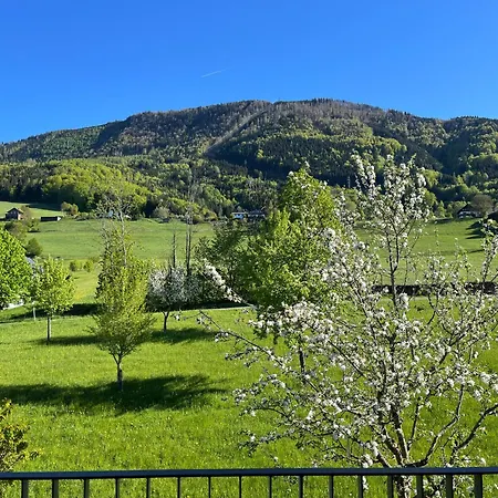 Lägenhet Panorama Am Muehlbachberg *